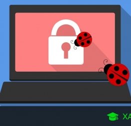 Antivirus in 11 Windows: what they are, differences between free and paid and the best ones for your PC
