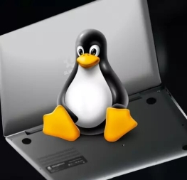 Estas 7 aplicaciones no pueden faltar en tu ordenador si usas Linux